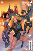 Load image into Gallery viewer, BIRDS OF PREY #2 A/B (DAVID NAKAYAMA VARIANT SET)