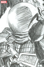 Load image into Gallery viewer, THE AMAZING SPIDER-MAN #23 (RATIO 1:100 VARIANT 6 PACK)