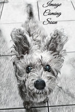 Load image into Gallery viewer, Gunslinger Spawn #1 (Cover A-G Bundle Pack 2)