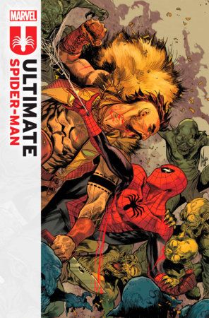 ULTIMATE SPIDER-MAN #14 (MARCO CHECCHETTO COVER)